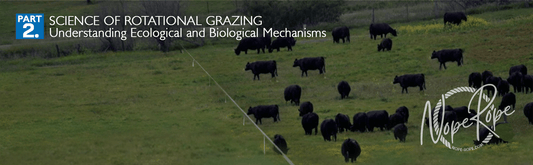 Part 2: The Science of Rotational Grazing – Understanding Ecological and Biological Mechanisms