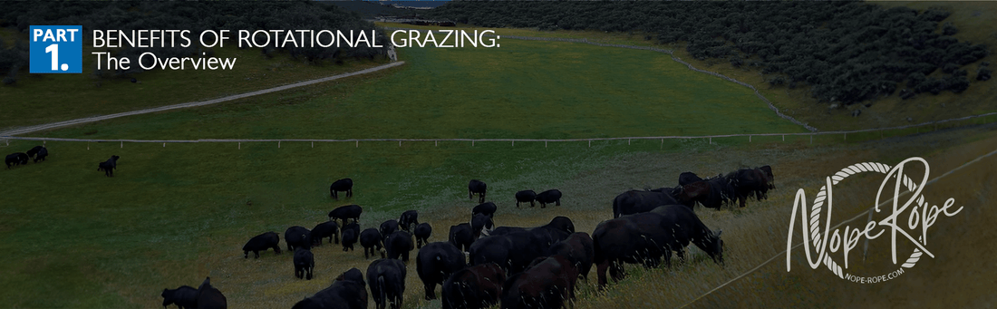 Part 1: Benefits of Rotational Grazing: A Comprehensive Overview
