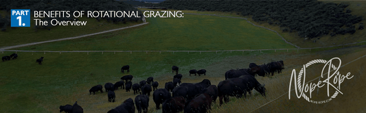 Part 1: Benefits of Rotational Grazing: A Comprehensive Overview