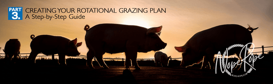 Part 3: Creating Your Rotational Grazing Plan – Step-by-Step Guide