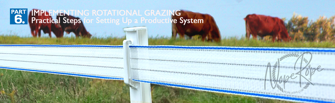 Part 6: Implementing Rotational Grazing – Practical Steps for Setting Up a Productive System