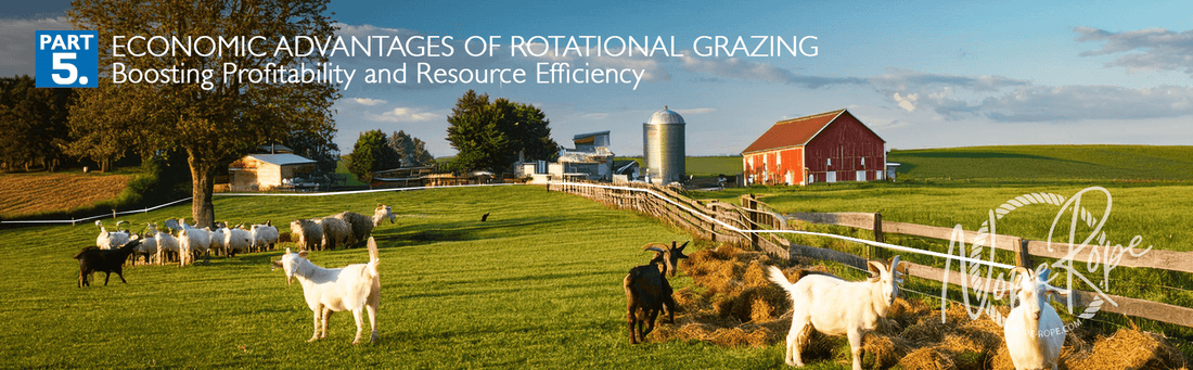 Part 5: Economic Advantages of Rotational Grazing – Boosting Profitability and Resource Efficiency