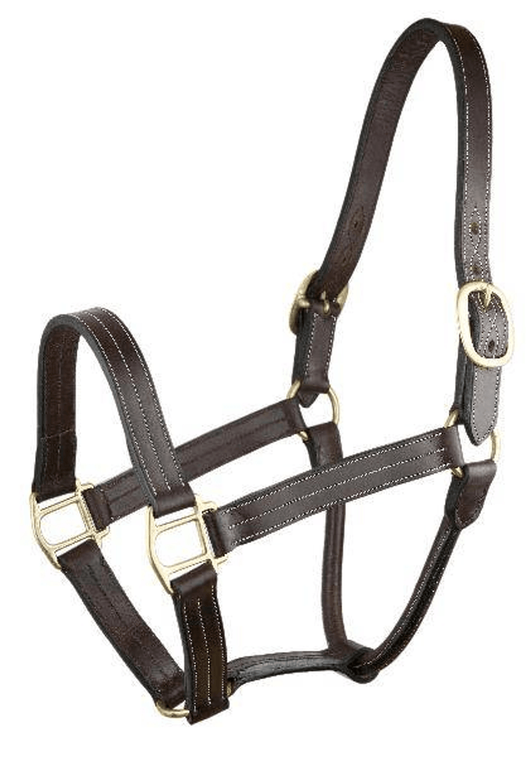 Tack Gear & Accessories